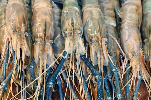 Schließen Sie oben von den rohen Garnelen, riesige Frischwassergarnele in Thailand.