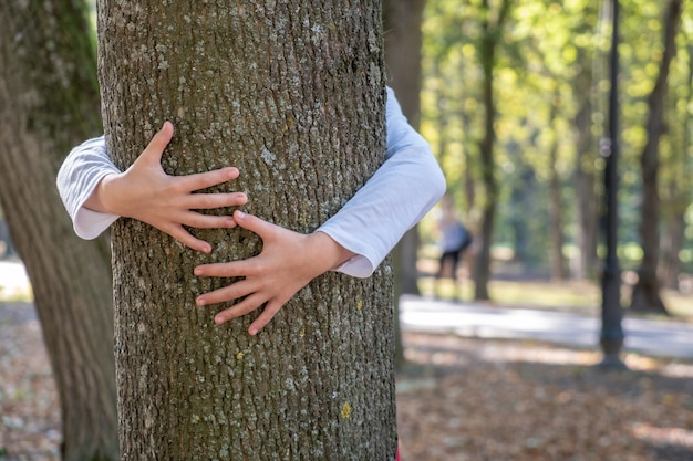 Schließen Sie oben von den schützenden Kinderhänden, die Baumstamm im Sommerpark umarmen. Sorge um das Naturkonzept.