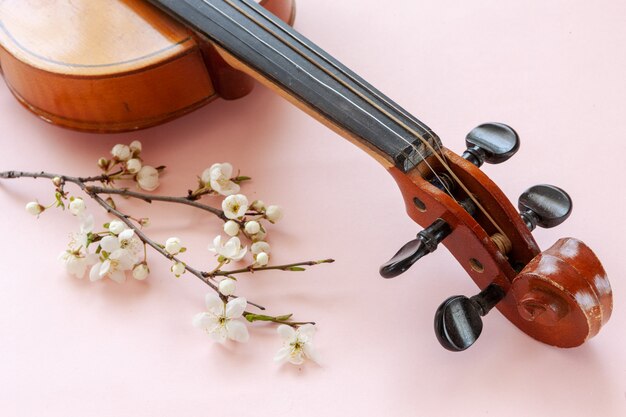 Schließen Sie oben von der Niederlassung der blühenden Kirsche und der Violine auf Pastellsüßigkeitsrosahintergrund