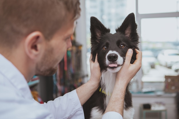 Schließen Sie oben von einem niedlichen glücklichen gesunden Hund, der seine Zunge während der medizinischen Untersuchung durch Tierarzt herausragt