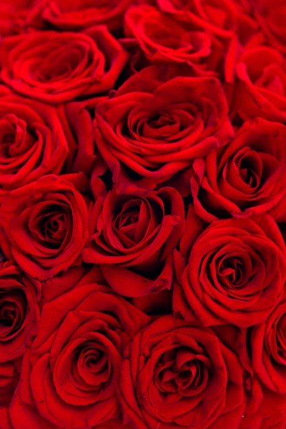 Schließen Sie oben von einem schicken Strauß zarter roter Rosen