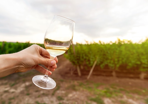 Schließen Sie oben von Glas Weißwein gegen Weinberglandschaft.