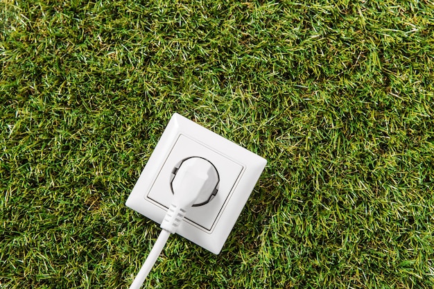 Schließung der Steckdose und Stecker auf grünem Gras