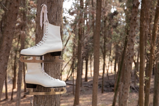 Foto schlittschuhe draußen stillleben