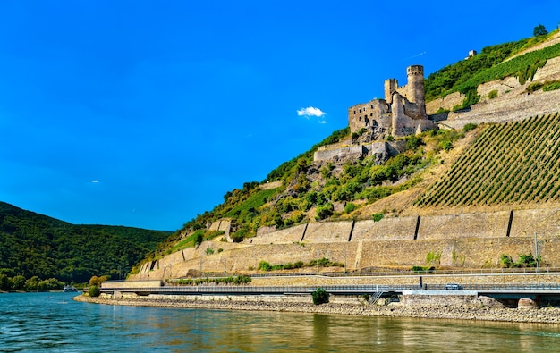 Schloss Ehrenfels mit Weinbergen im Sommer die Rheinschlucht Unesco Welterbe in Deutschland