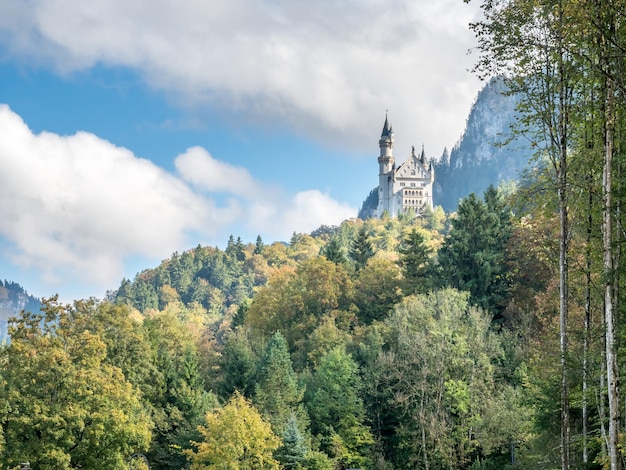 Schloss Neuschwanstein in Deutschland auf Hügelblick