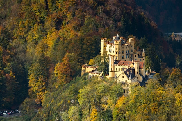 Schloss Neuschwanstein