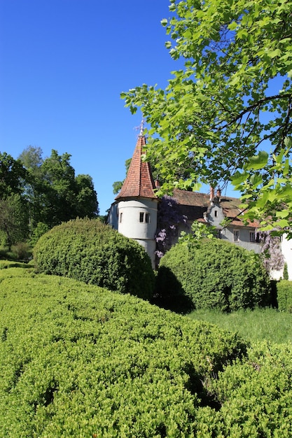 Schloss Shenborn