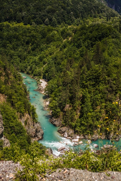 Schlucht des Flusses Tara in den Bergen von Montenegro