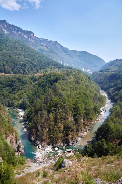 Schlucht des flusses tara in montenegro