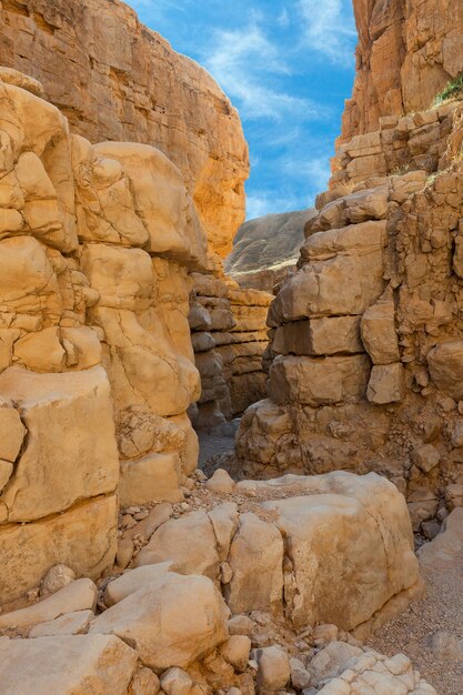 Schlucht des OG-Flussbetts im Morgengrauen in Israel