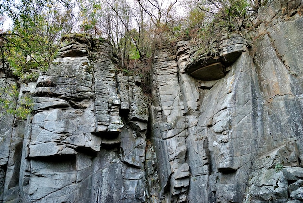 Schlucht in Buki-Herbstflussstein Ukraine