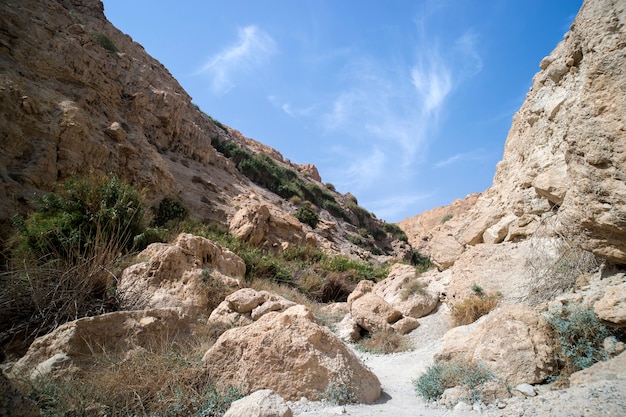 Schlucht in den Bergen. Eine Oase in der Judäischen Wüste. Schöne Berglandschaft. Natur des Nahen Ostens. Nationalpark Israels.