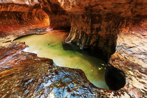 Schlucht in Zion