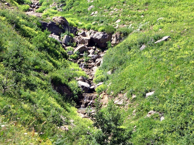 Schlucht, Riss im Berg, grünes Gras und Steine, Berge des Kaukasus, trockenes Bett des Gebirgsflusses