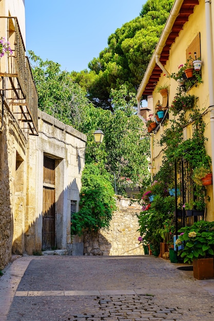 Schmale Gasse alter Häuser mit Blumen und Pflanzen in einem kleinen Dorf in Madrid Spanien