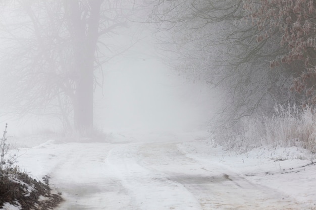 Schmale Straße bei bewölktem Wetter bei Nebel oder Dunst, eine Straße, die im Winter mit Schnee bedeckt ist