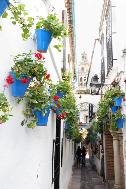 Schmale Straße mit Blumen in Cordoba