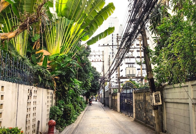 Schmale Straße mit tropischen Pflanzen und Drähten in der Stadt Bangkok Thailand