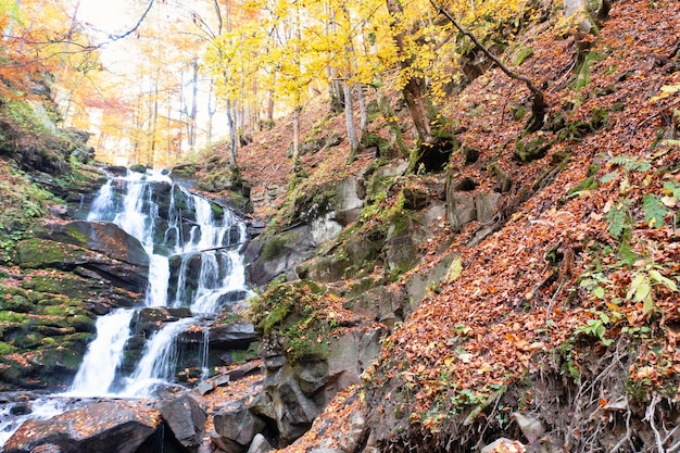 Schmaler Bach, der im Herbstwald den Berghang hinunterfällt