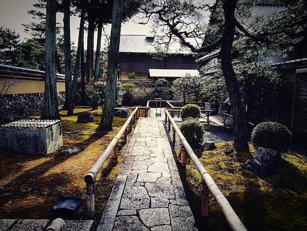 Foto schmaler gehweg im park