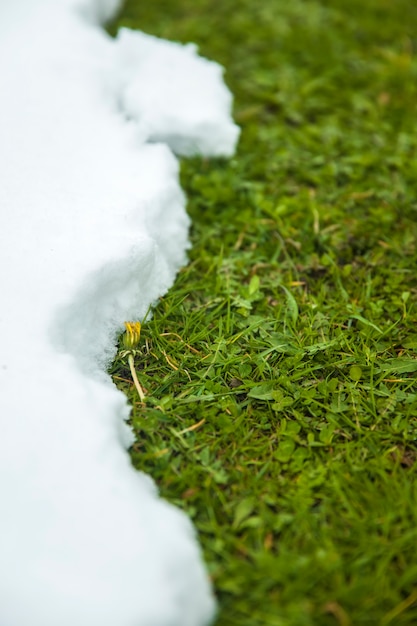 Schmelzender Schnee auf grünem Gras hautnah