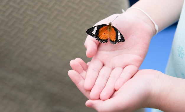 Â Schmetterling thront auf der Hand eines MädchensÂ