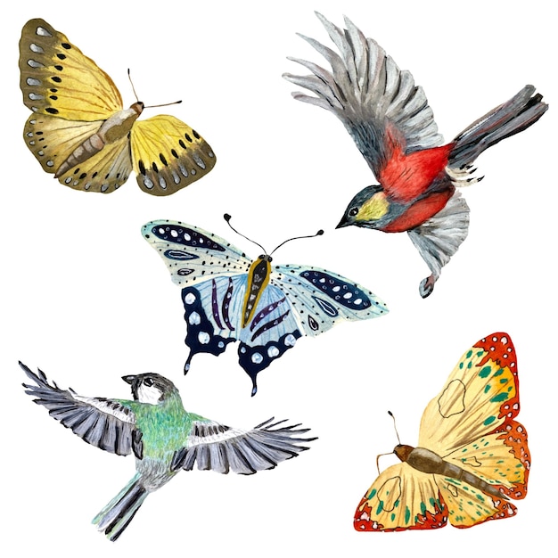 Schmetterlingsvogelset, Sammlung. Eine Aquarellillustration. Isoliert auf weißem Hintergrund.