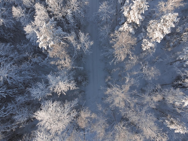 Foto schmutzige straße im schönsten schneebedeckten wald drohnenansicht