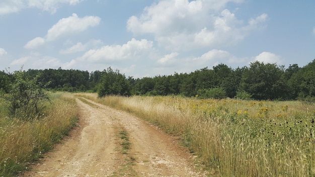 Schmutzige Straße inmitten eines grasbewachsenen Feldes gegen den Himmel