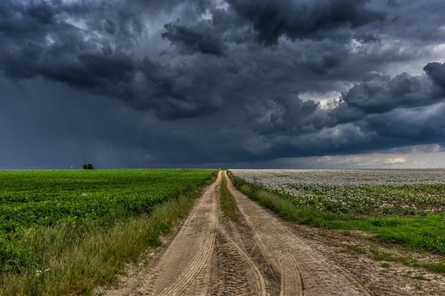 Schmutzige Straße inmitten eines landwirtschaftlichen Feldes gegen einen bewölkten Himmel