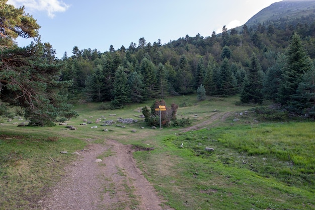 Schmutzige Straße inmitten von Bäumen auf dem Feld gegen den Himmel