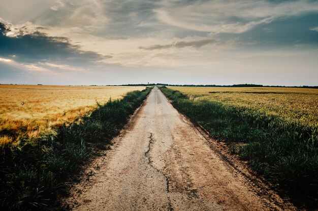 Foto schmutzige straße mitten auf dem feld gegen den himmel