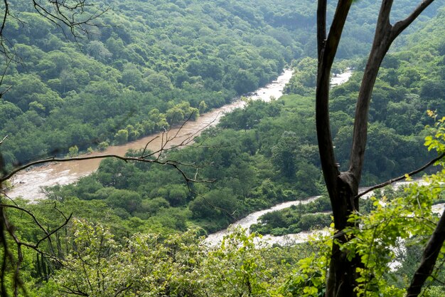 Schmutziger fluss, gesehen durch die huentitan-schlucht in guadalajara, grüne vegetation, baumpflanzen und berge mexiko