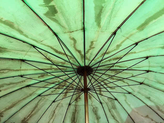 Schmutziger grüner Regenschirm von innen gesehen