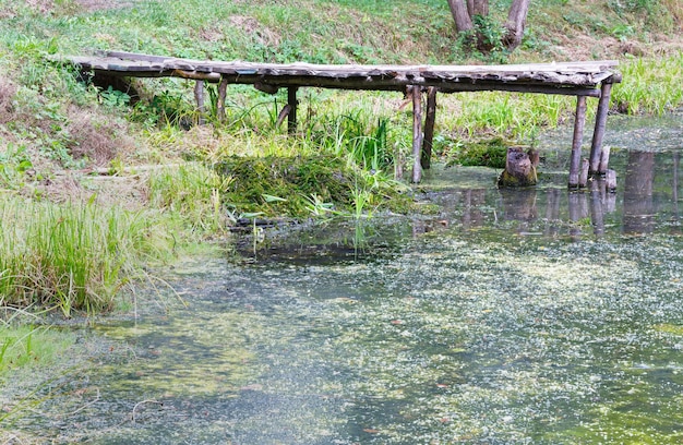 Schmutziger kleiner See mit einer Holzbrücke zum Angeln.