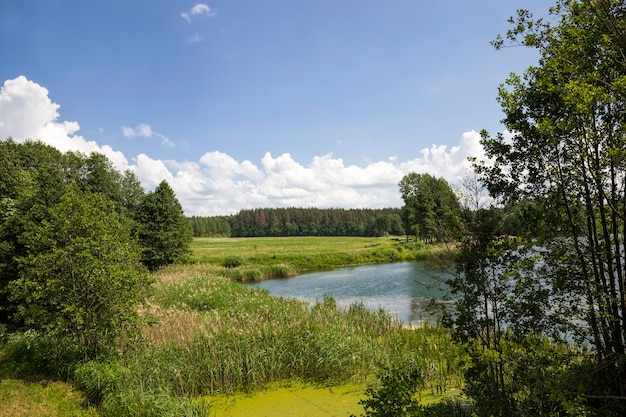 Schmutziges Wasser in einem Fluss