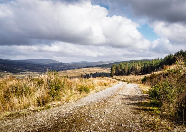 Foto schmutzstraße entlang der landschaft gegen den himmel