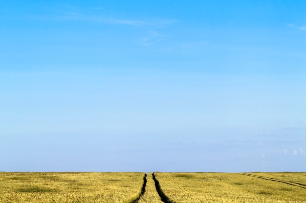 Schmutzstraßenweg in einer Weizenfeldlandschaft im Sommer