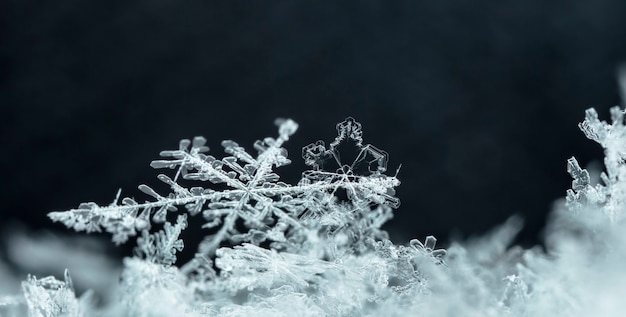 Schnappschuss einer kleinen Schneeflocke, die während eines Schneefalls aufgenommen wurde