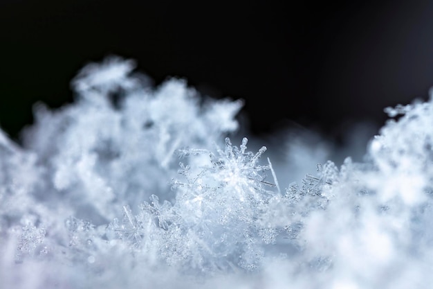 Schnappschuss einer kleinen Schneeflocke während eines Schneefalls