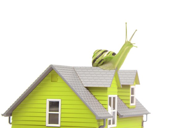 Schnecke auf dem Dach eines Hausmodells auf weißem Hintergrund Das Konzept des häuslichen Komforts und des Lebens im Haus