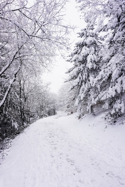 Schnee auf der straße im berg in der wintersaison, bilbao, spanien