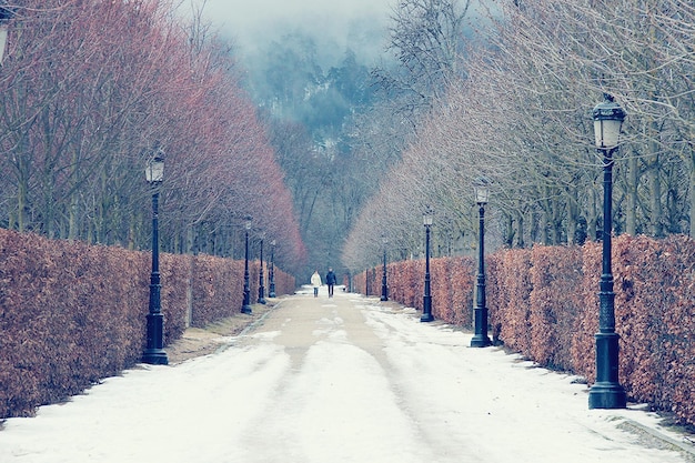 Schnee auf einem Fußweg inmitten von Straßenlichtern und Hecken im Park