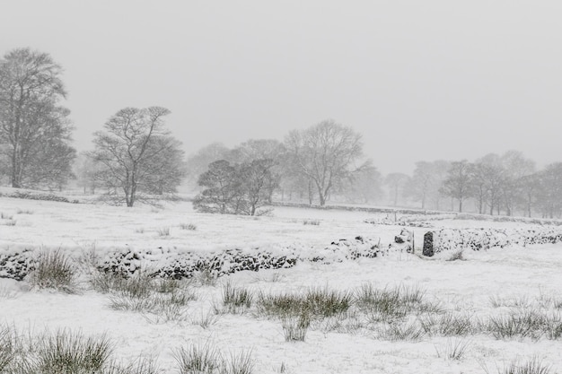 Schnee bedeckt die Landschaft