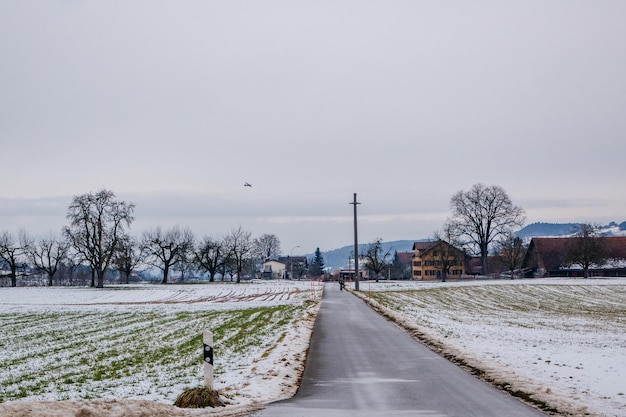 Schnee bedeckte Bäume gegen den Himmel