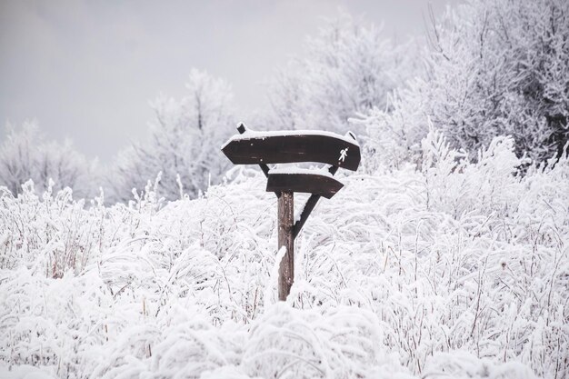 Foto schnee bedeckte bäume gegen den himmel