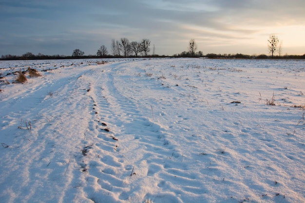 Schnee bedecktes Feld gegen den Himmel