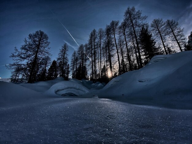 Foto schnee bedecktes land und bäume gegen den himmel