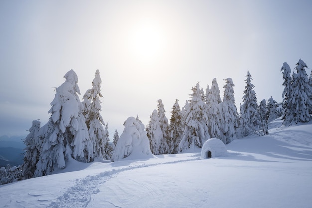 Schnee-Iglu. Winter in den Bergen. Landschaft mit Unterschlupf für extreme Touristen. Abenteuer im Freien